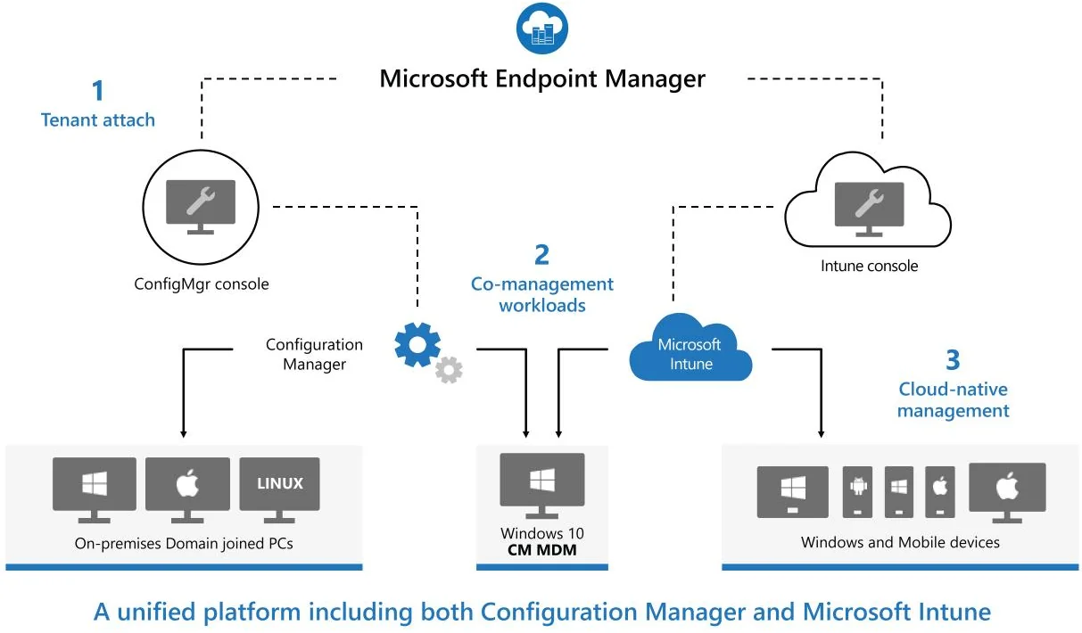 Windows Management illustration